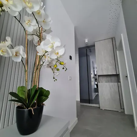 Sole By Axxis Nova - Luxury Cu La Mare In Prima Linie La Plaja - Nord Apartment
