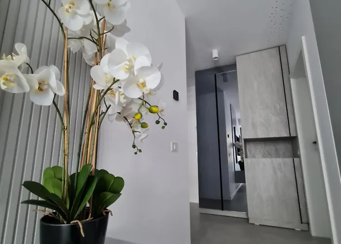 Sole By Axxis Nova - Luxury 70mp Cu Terasa Si La Mare, Acces Direct Pe Plaja Axxis Bluflag - Nord - Parcare Gratuita Apartamento